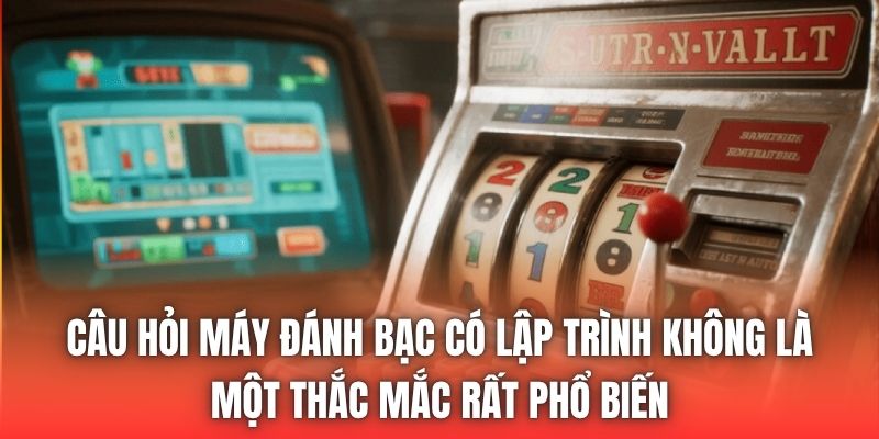 Câu hỏi máy đánh bạc có lập trình không là một thắc mắc rất phổ biến