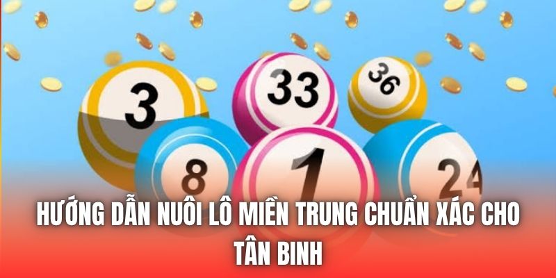 Hướng Dẫn Nuôi Lô Miền Trung Chuẩn Xác Cho Tân Binh