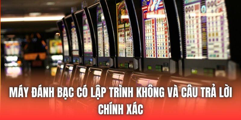Máy Đánh Bạc Có Lập Trình Không Và Câu Trả Lời Chính Xác