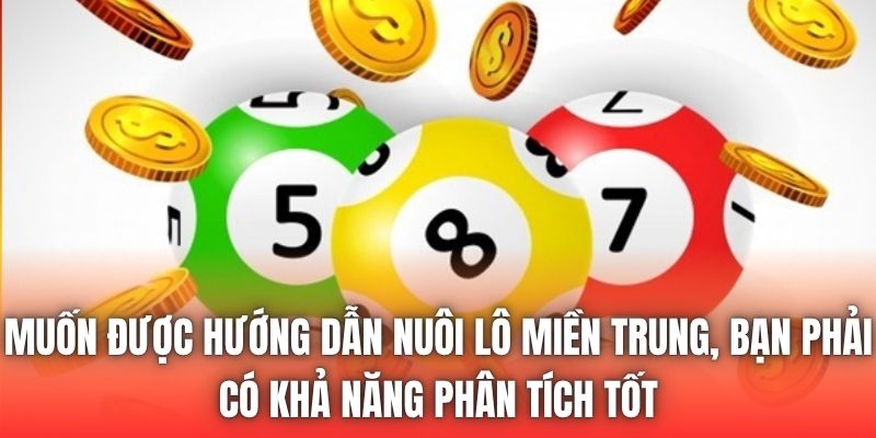 Muốn được hướng dẫn nuôi lô miền Trung, bạn phải có khả năng phân tích tốt